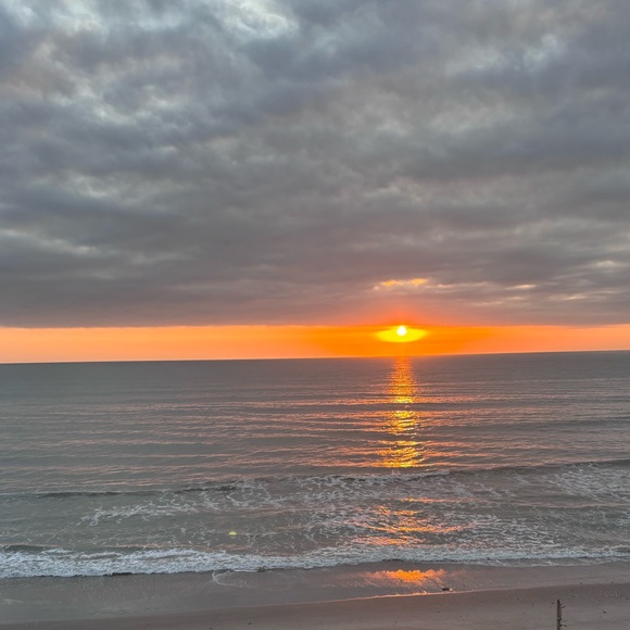 Meet your Posher, Alexa - Picture 1 of 1